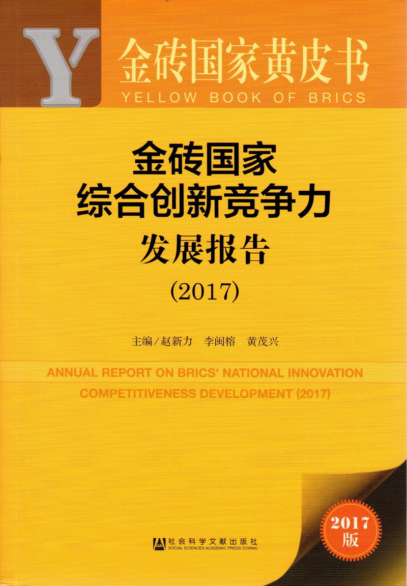 国产男人把阴茎插入女人日逼视频金砖国家综合创新竞争力发展报告（2017）